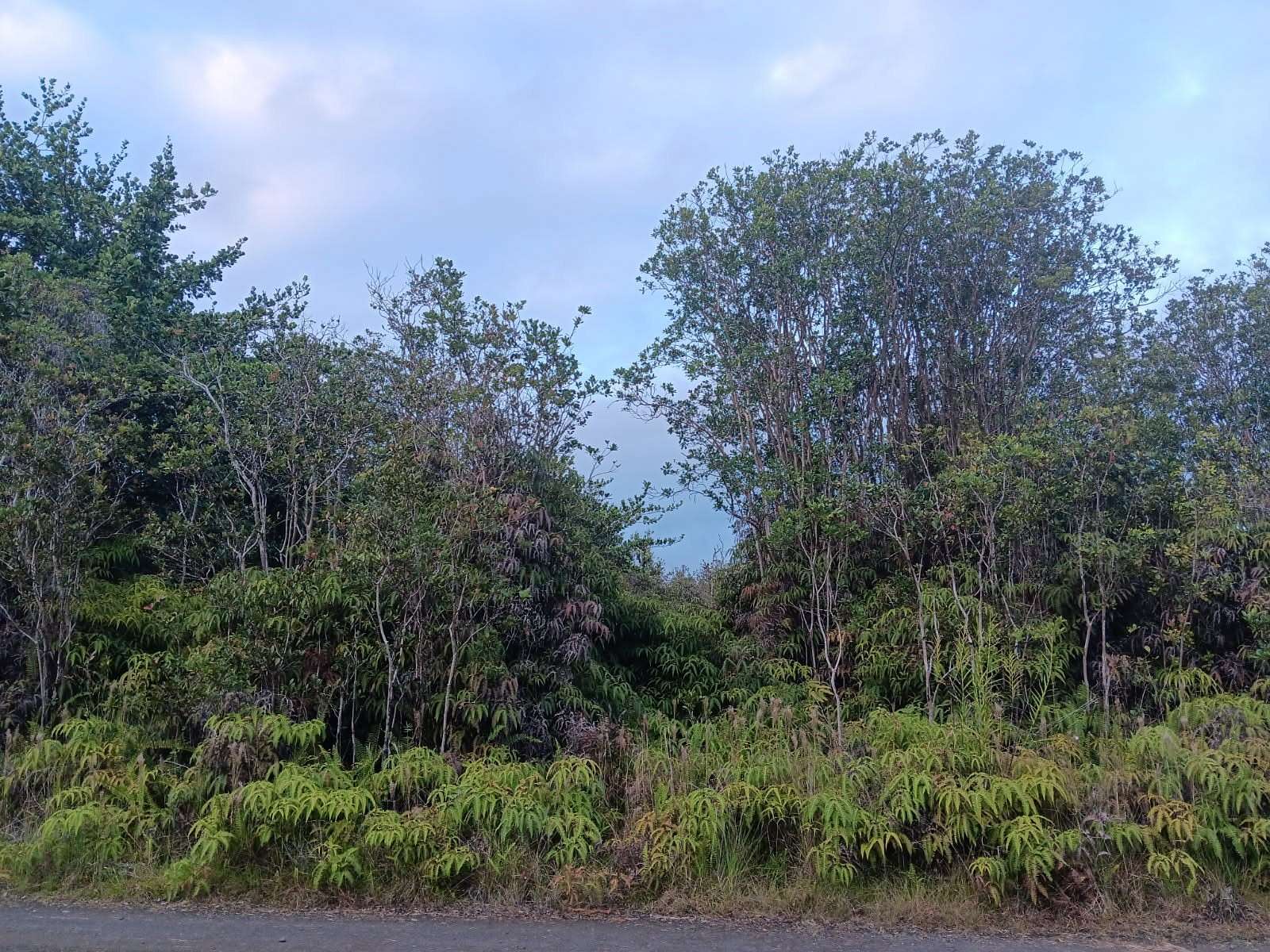 3 Acres of Land for Sale in Mountain View, Hawaii