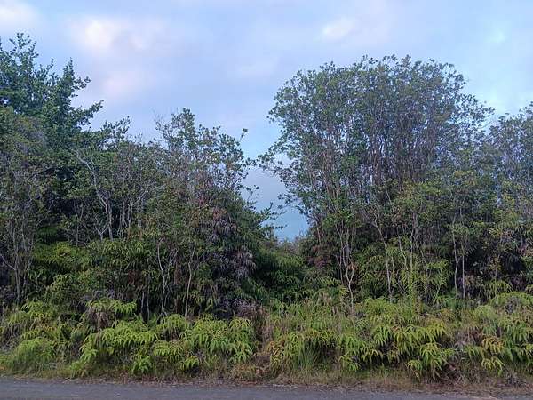 3 Acres of Land for Sale in Mountain View, Hawaii