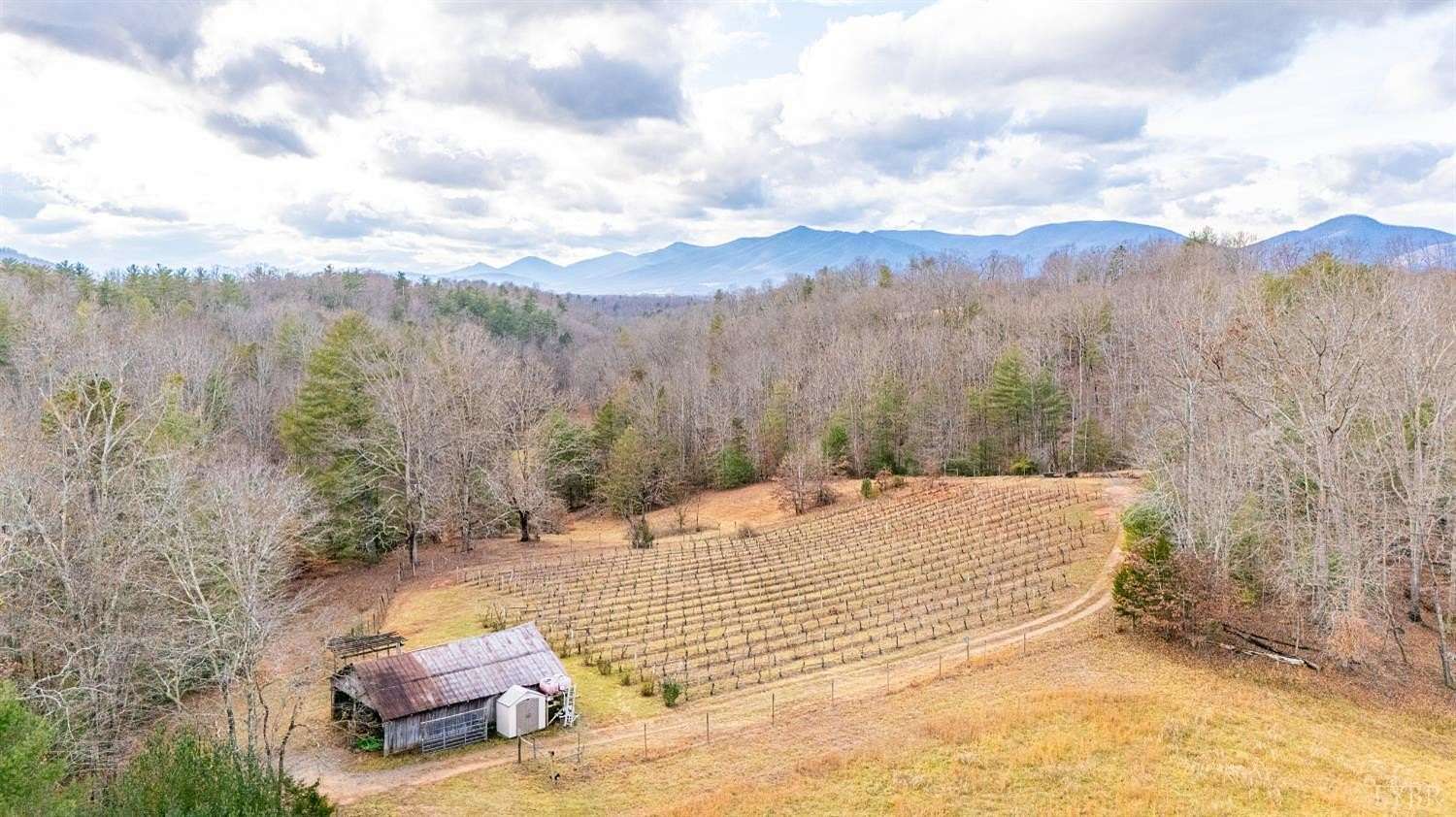 77.3 Acres of Recreational Land & Farm for Sale in Monroe, Virginia