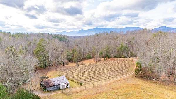 77.3 Acres of Recreational Land & Farm for Sale in Monroe, Virginia