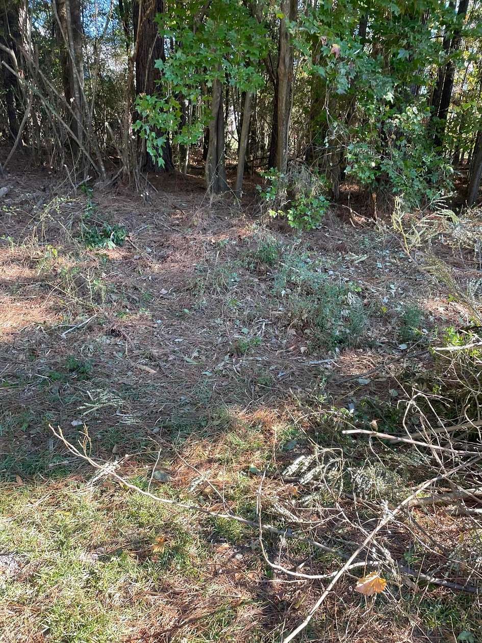 Land for Sale in Jasper, Alabama