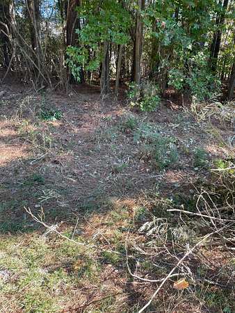 Land for Sale in Jasper, Alabama