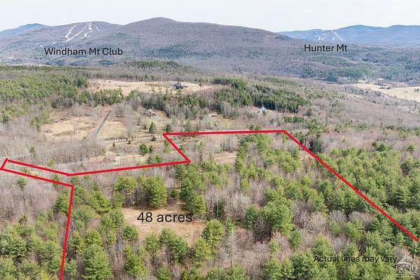 48 Acres of Recreational Land & Farm for Sale in Ashland, New York