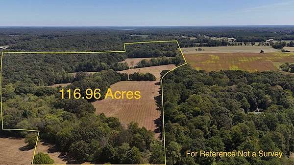 117 Acres of Land for Sale in Big Sandy, Tennessee