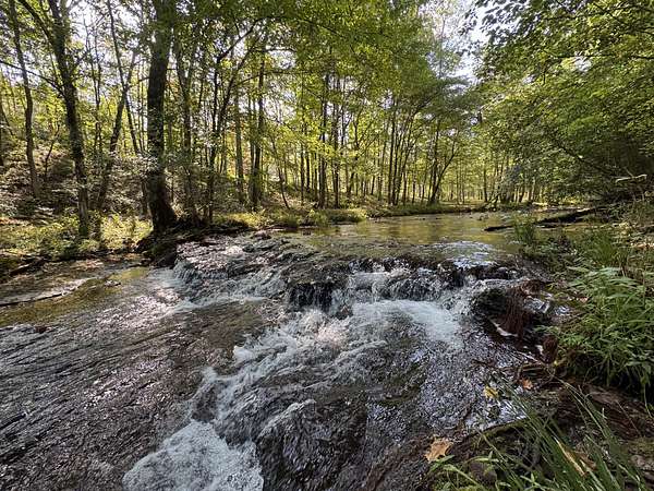 84.4 Acres of Recreational Land for Sale in Waynesboro, Tennessee