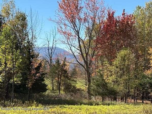 5.8 Acres of Residential Land for Sale in Lexington, New York