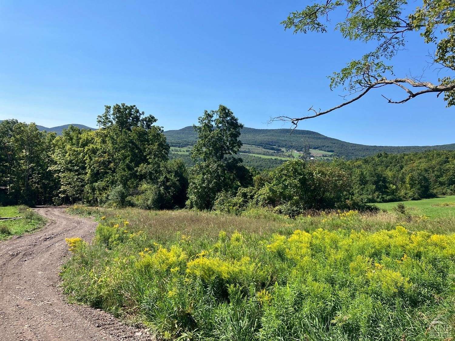 4 Acres of Residential Land for Sale in Durham, New York