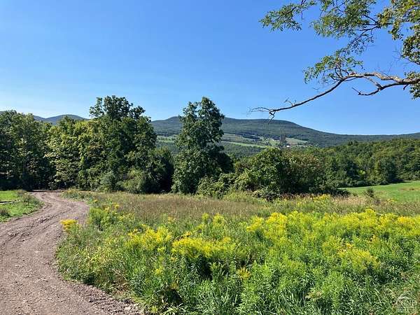 4 Acres of Residential Land for Sale in Durham, New York