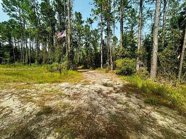 112 Acres of Recreational Land for Sale in Greenville, Florida