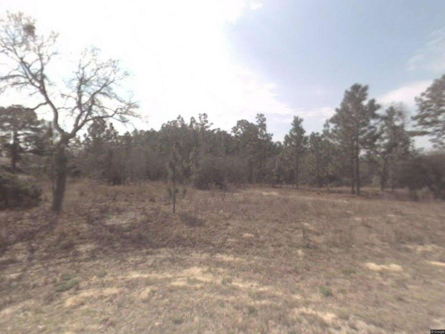 Residential Land for Sale in Citrus Springs, Florida