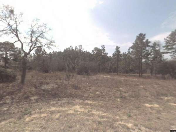 Residential Land for Sale in Citrus Springs, Florida