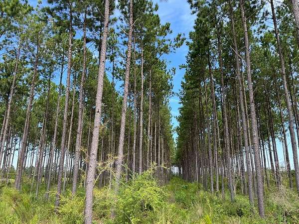 133 Acres of Recreational & Residential Land for Sale in Columbia, Alabama