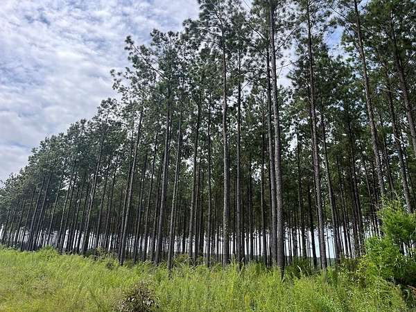 133 Acres of Recreational & Residential Land for Sale in Columbia, Alabama