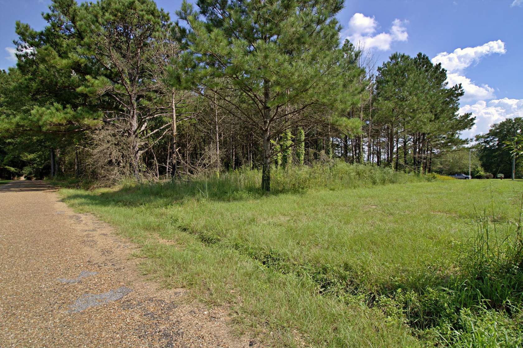 1 Acre of Mixed-Use Land for Sale in Prentiss, Mississippi