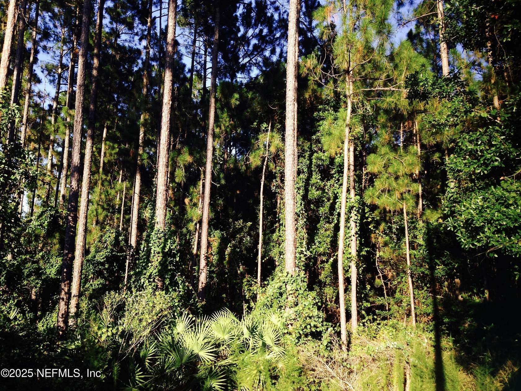 2 Acres of Land for Sale in Jacksonville, Florida