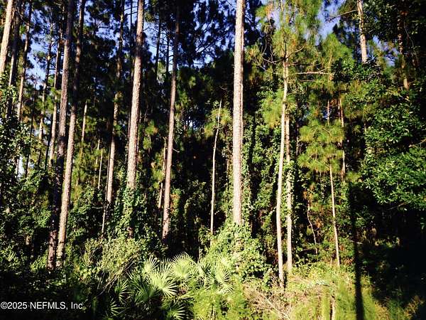 2 Acres of Land for Sale in Jacksonville, Florida