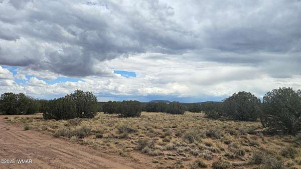 2.22 Acres of Residential Land for Sale in Snowflake, Arizona