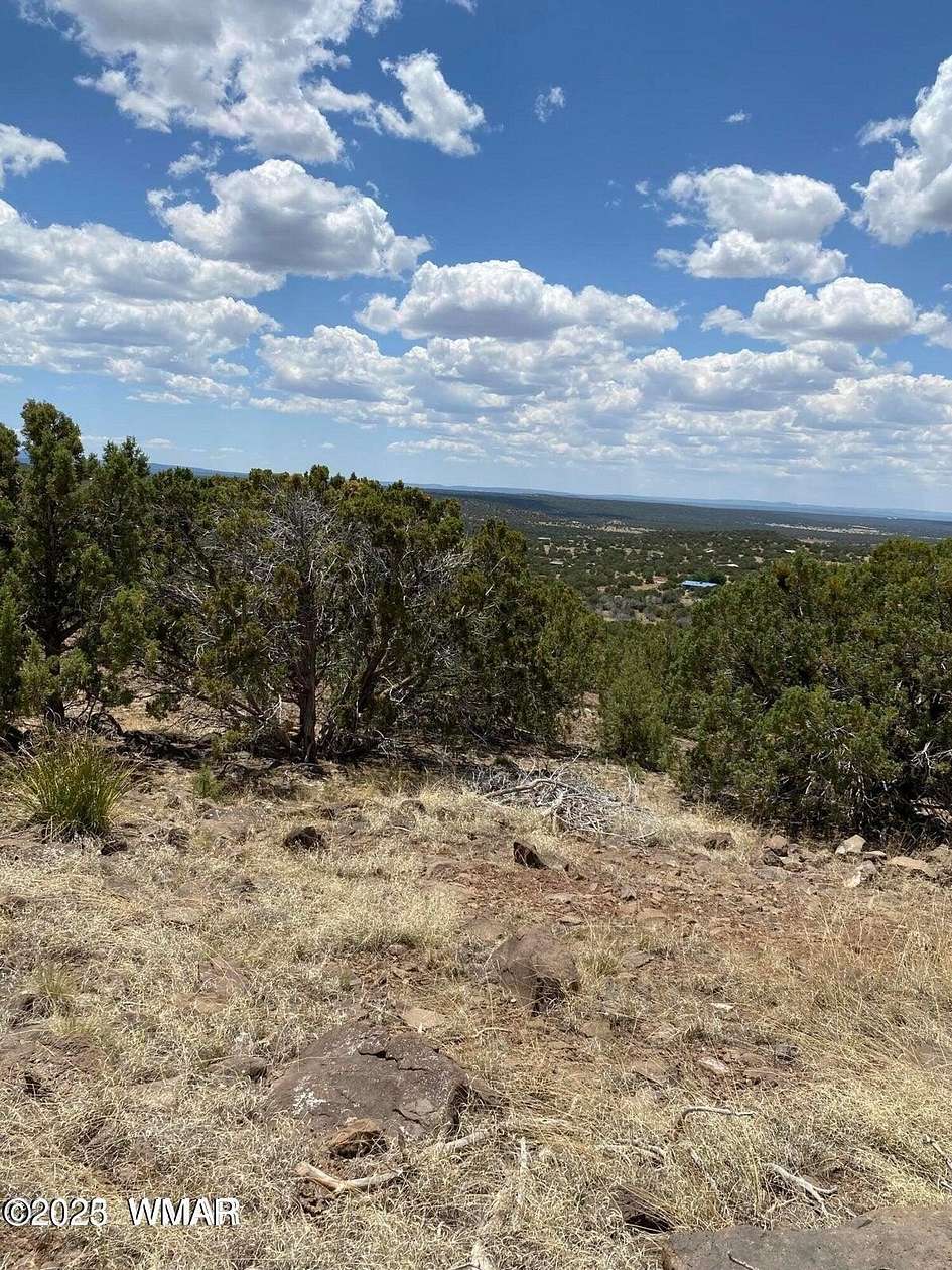 1.17 Acres of Residential Land for Sale in Concho, Arizona