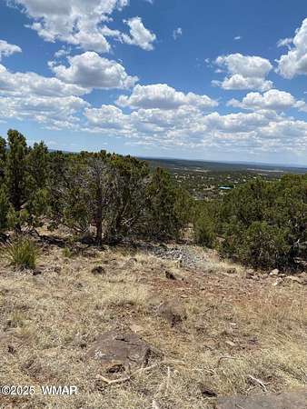 1.17 Acres of Residential Land for Sale in Concho, Arizona
