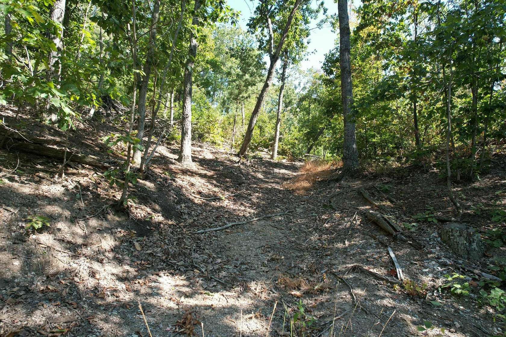 77 Acres of Recreational Land for Sale in Flemingsburg, Kentucky