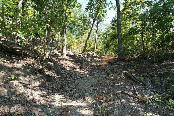 77 Acres of Recreational Land for Sale in Flemingsburg, Kentucky