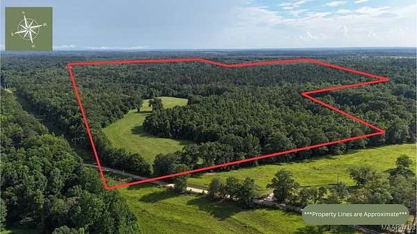 260 Acres of Recreational Land & Farm for Sale in Union Springs, Alabama