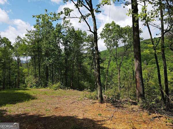 9.6 Acres of Residential Land for Sale in Ellijay, Georgia