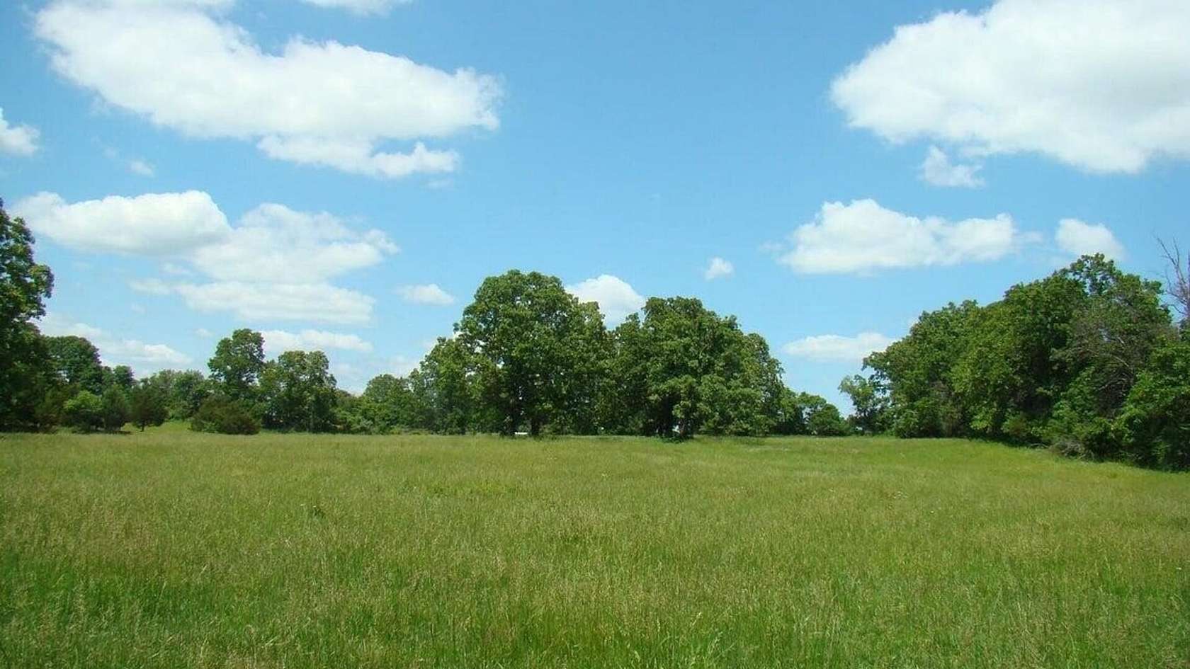 6 Acres of Land for Sale in Mountain View, Missouri