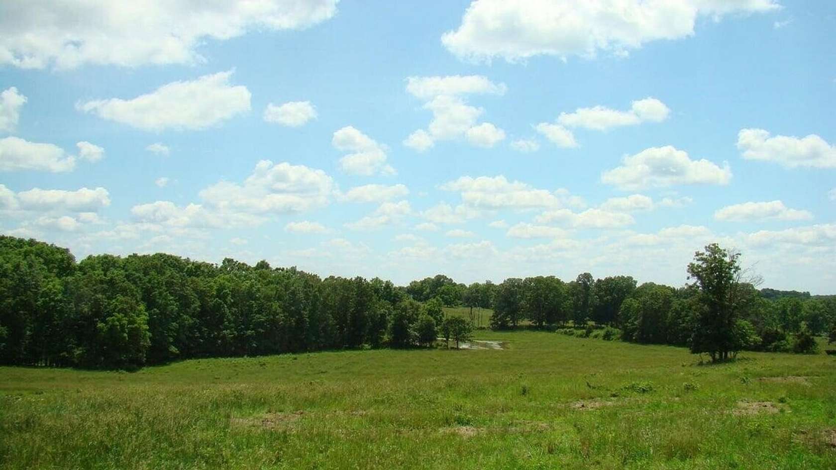 5 Acres of Land for Sale in Mountain View, Missouri