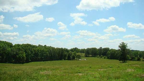 5 Acres of Land for Sale in Mountain View, Missouri