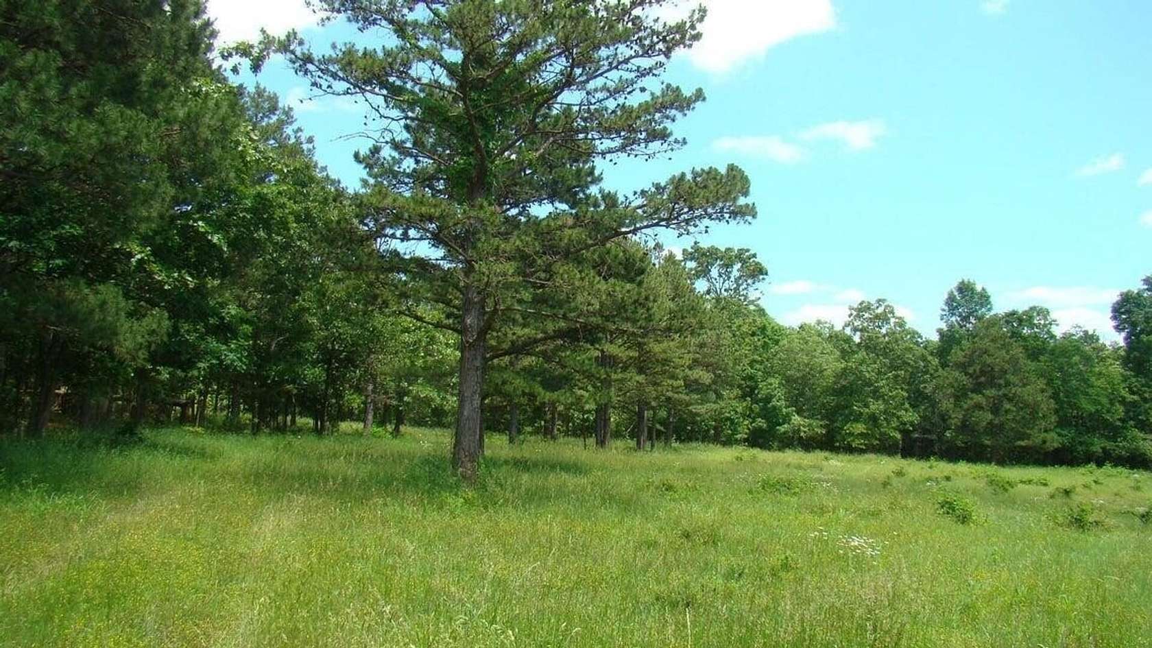 11 Acres of Recreational Land for Sale in Mountain View, Missouri