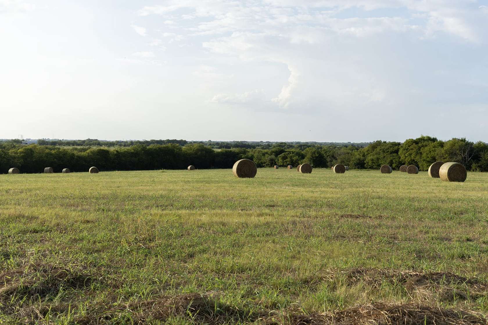108 Acres of Recreational Land & Farm for Sale in Grandview, Texas