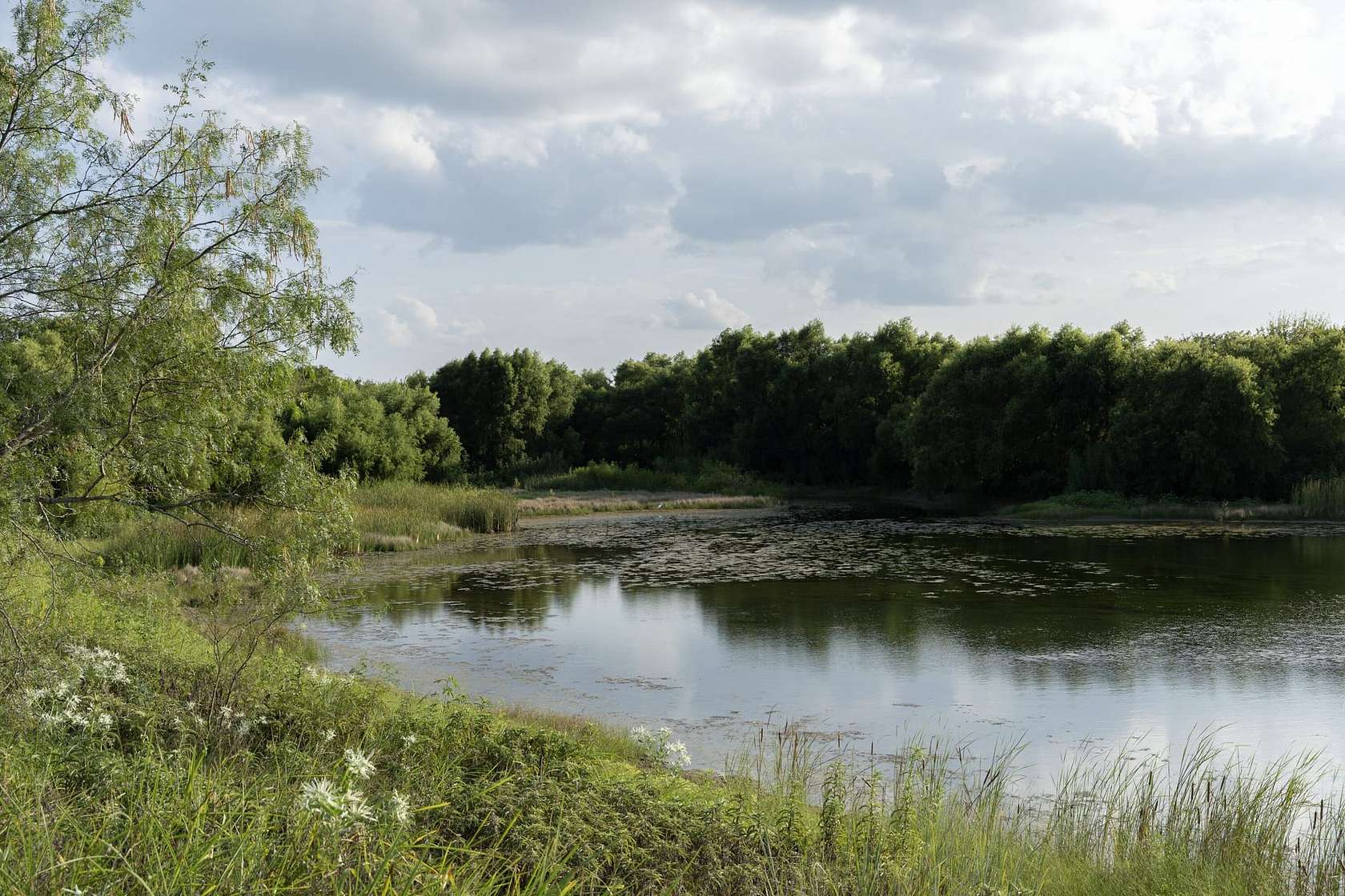 141 Acres of Recreational Land & Farm for Sale in Grandview, Texas