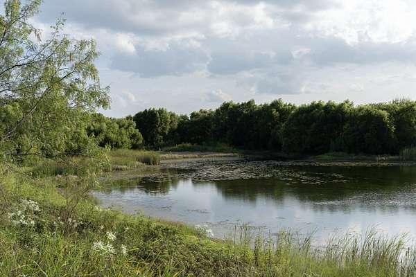 141 Acres of Recreational Land & Farm for Sale in Grandview, Texas