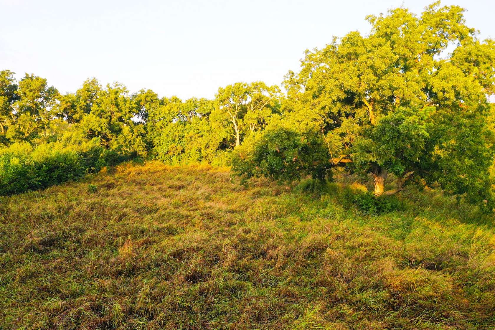 7 Acres of Recreational Land & Farm for Sale in Ralston, Oklahoma