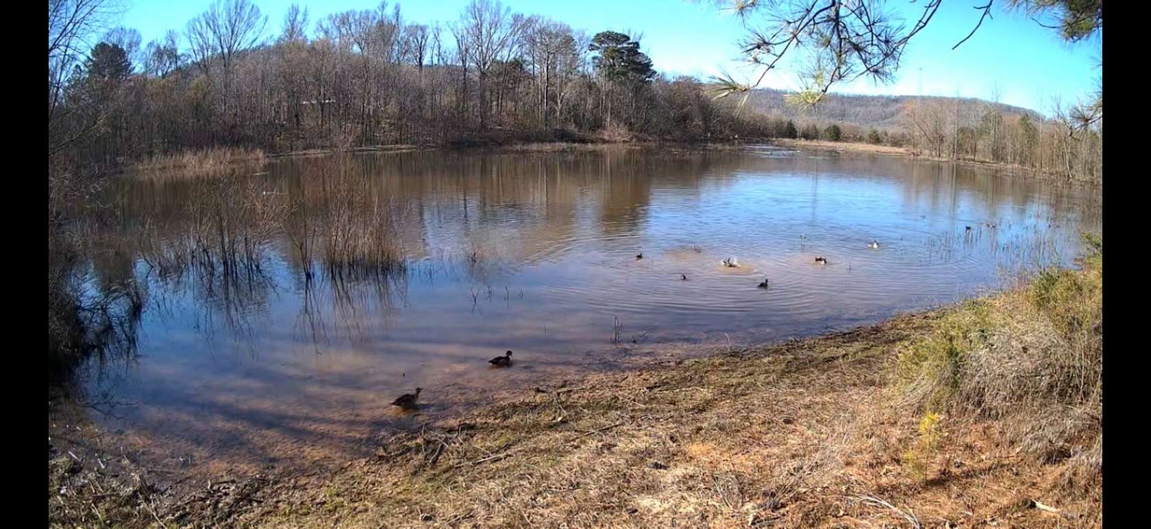 18.5 Acres of Land for Sale in Scottsboro, Alabama