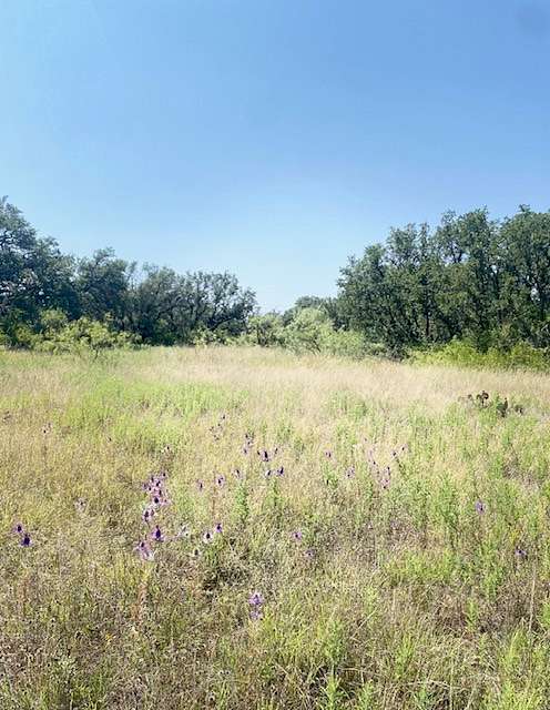 0.12 Acres of Residential Land for Sale in Lake Brownwood, Texas