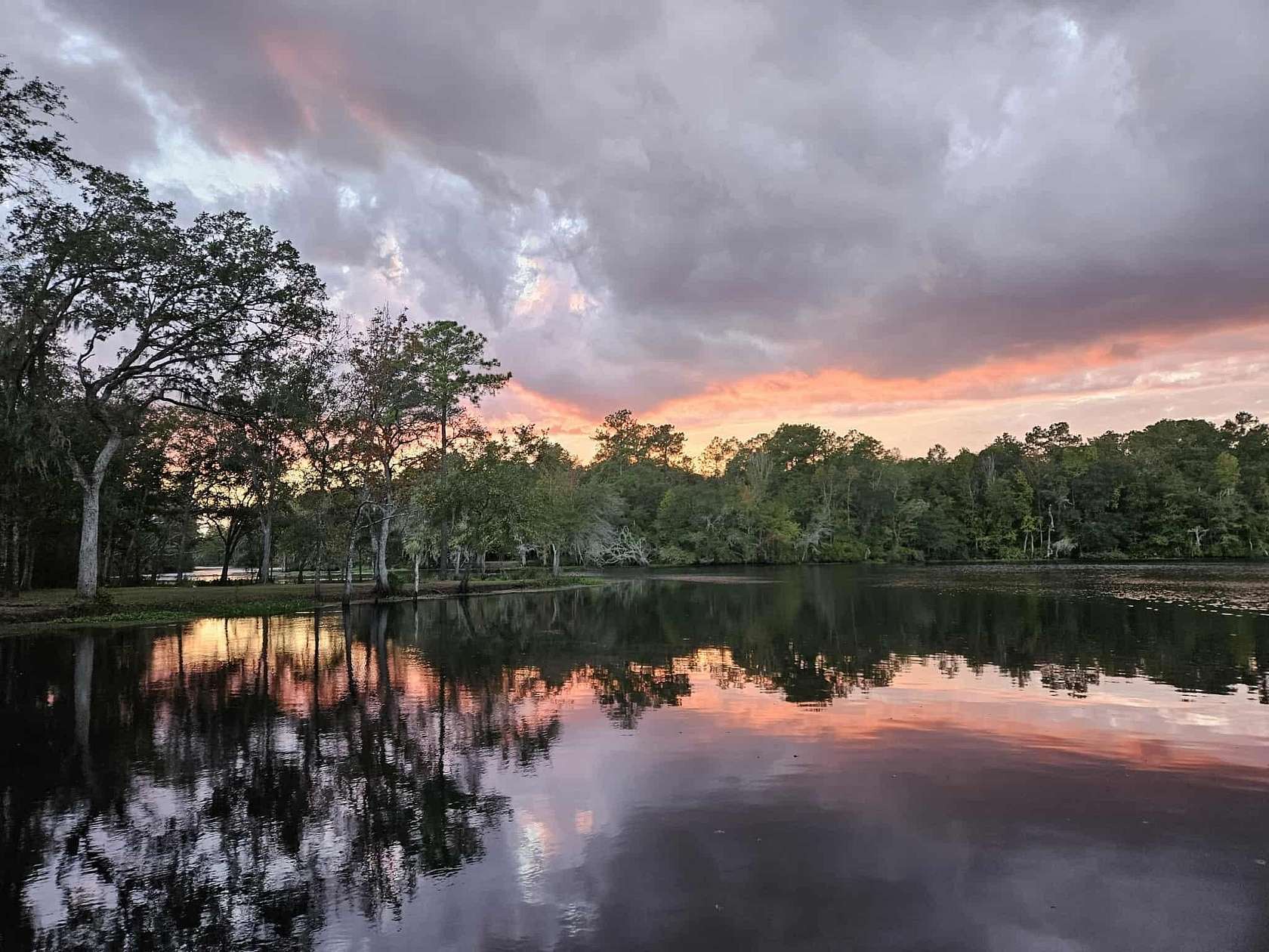 14.9 Acres of Recreational Land for Sale in Greenville, Florida