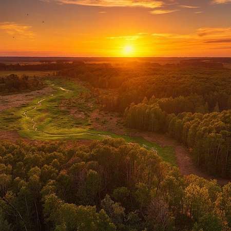 14.9 Acres of Recreational Land for Sale in Greenville, Florida