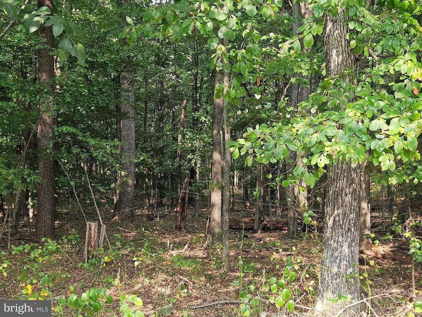 3.7 Acres of Land for Sale in Haymarket, Virginia