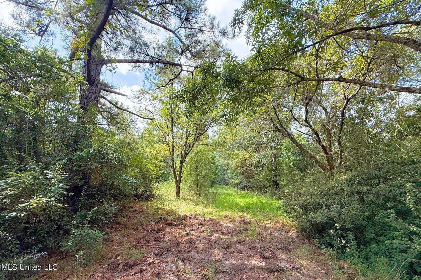 11 Acres of Agricultural Land for Sale in Vancleave, Mississippi