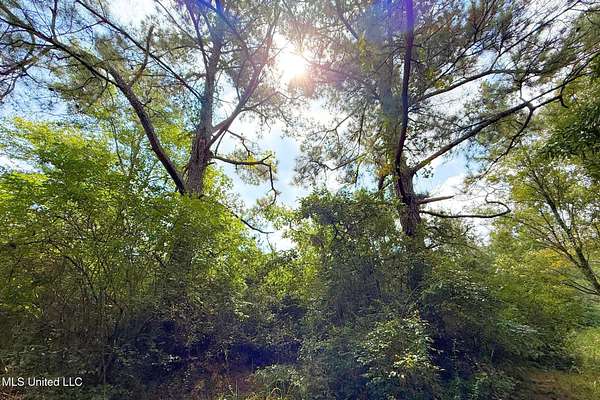 11 Acres of Agricultural Land for Sale in Vancleave, Mississippi