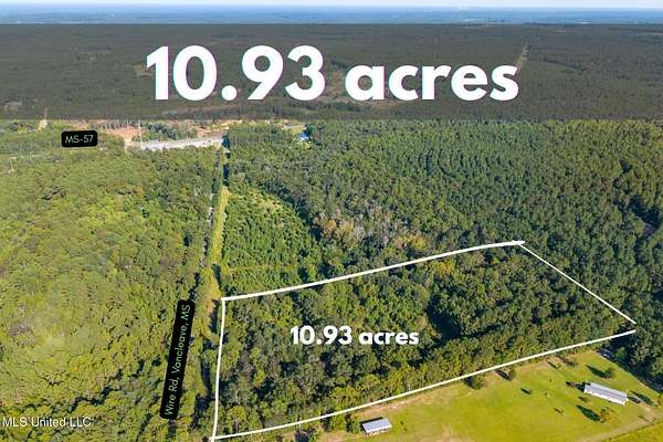 11 Acres of Agricultural Land for Sale in Vancleave, Mississippi
