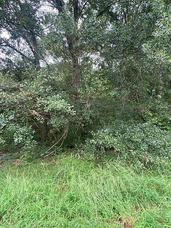 0.14 Acres of Residential Land for Sale in Pendleton, South Carolina