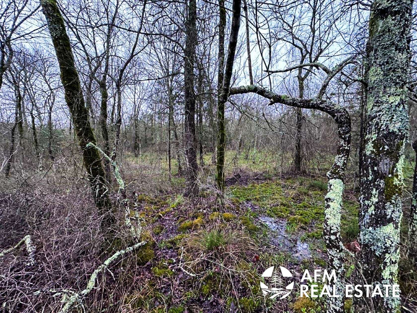 40 Acres of Recreational Land for Sale in Nashoba, Oklahoma