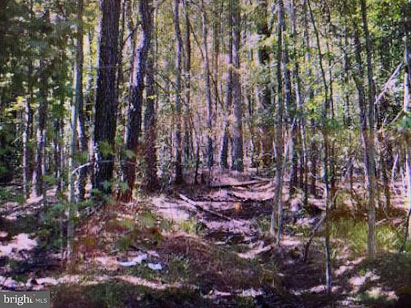 0.34 Acres of Residential Land for Sale in Mechanicsville, Maryland