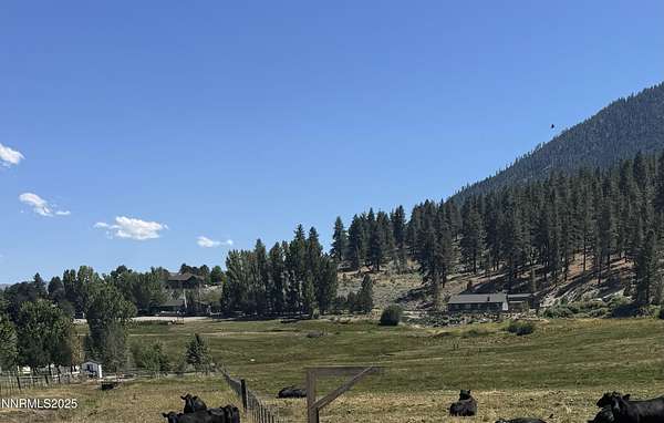 2 Acres of Residential Land for Sale in Gardnerville, Nevada
