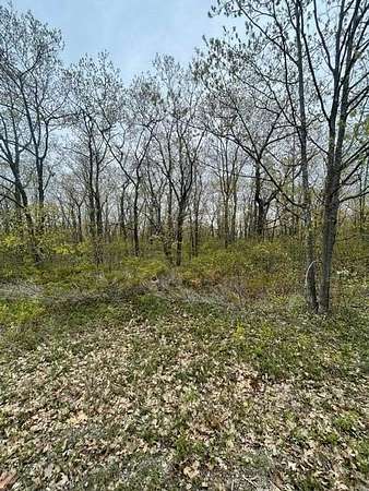 0.31 Acres of Land for Sale in Presque Isle, Michigan