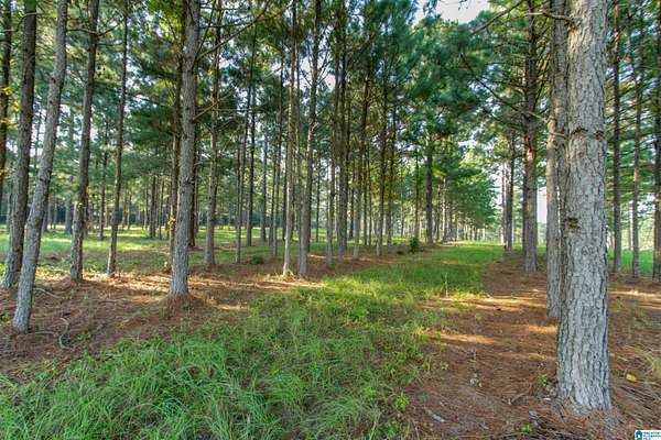 50 Acres of Land for Sale in Jemison, Alabama