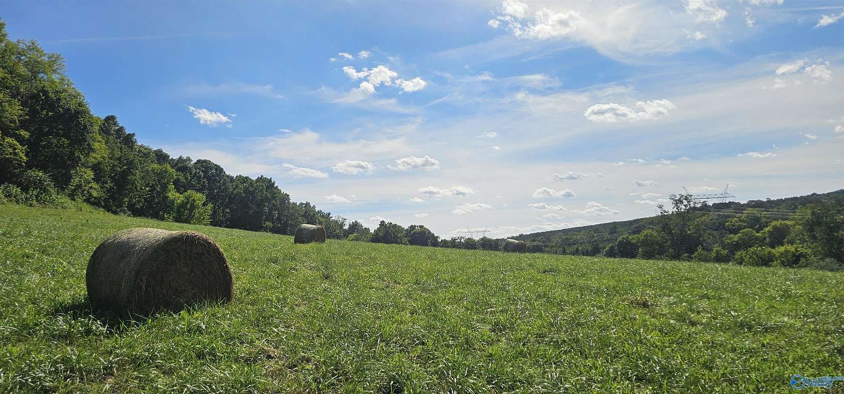 58.7 Acres of Agricultural Land for Sale in Bryant, Alabama